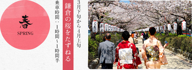 春　３月下旬から４月上旬 鎌倉の桜をたずねる 乗車時間１時間〜１時間半