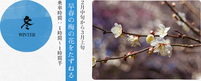 冬　２月中旬から３月上旬 早春の梅の花をたずねる 乗車時間：１時間〜１時間半